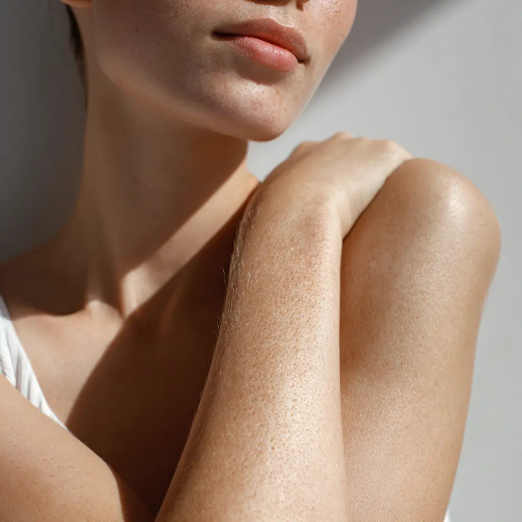 Abwehr & Regeneration