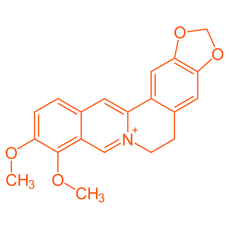 multicolumns-item-image-1
