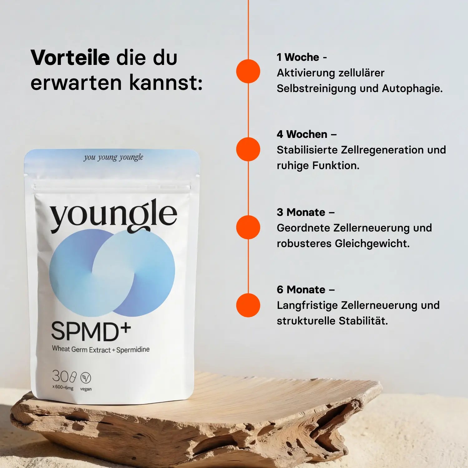 Spermidin - Kapseln - youngle