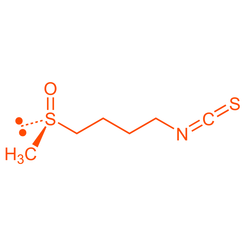 multicolumns-item-image-1