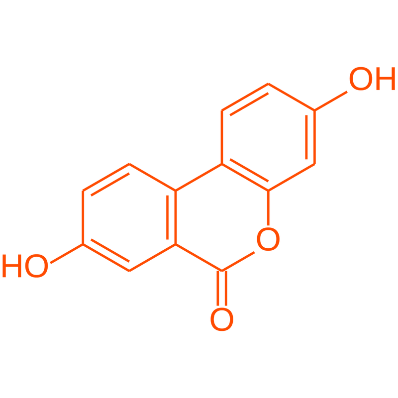 multicolumns-item-image-1