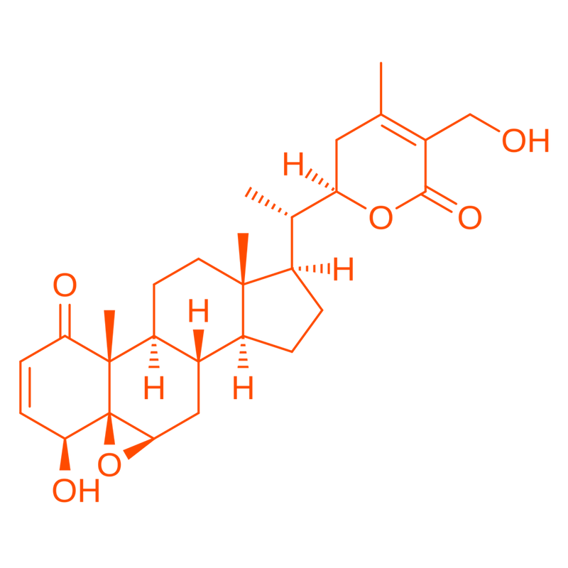 multicolumns-item-image-2